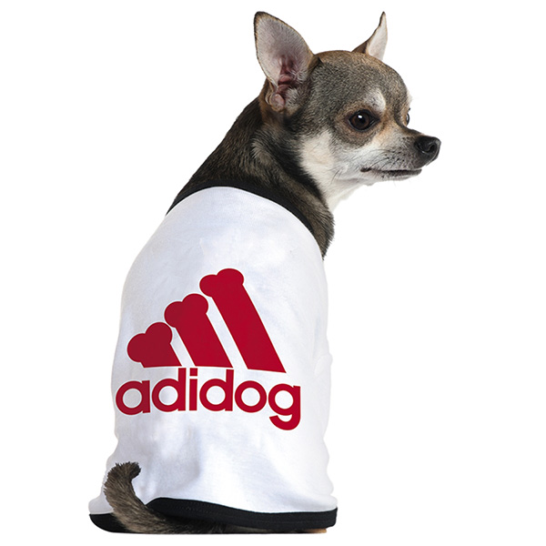 AdidasձһҡAdidogbƷ֙(qun)ɹS(qun)BT̘(bio)Nÿע(c)