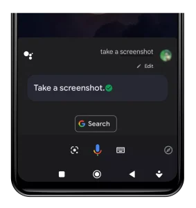 Take a Screenshot Using Google Assistant